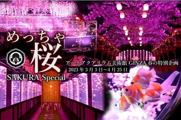 Meccha Sakura Special