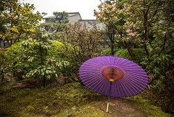 Японские бумажные зонты