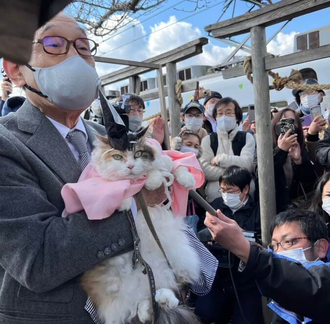Кот стал настоятелем японского храма