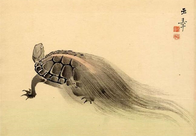 Значения японских татуировок: ушастая черепаха Дзинки